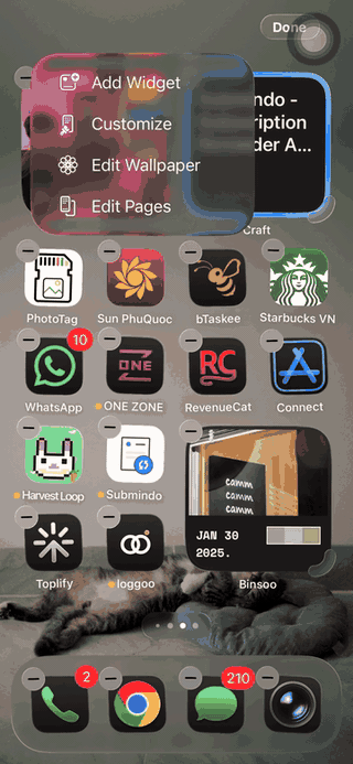 Recording of adding a Loggoo widget, browsing Day, Mood, and Streak styles, and opening the app from a widget action.