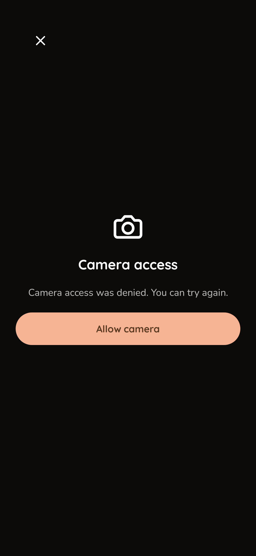 Loggoo camera access screen explaining that permission was denied and offering an Allow camera button.
