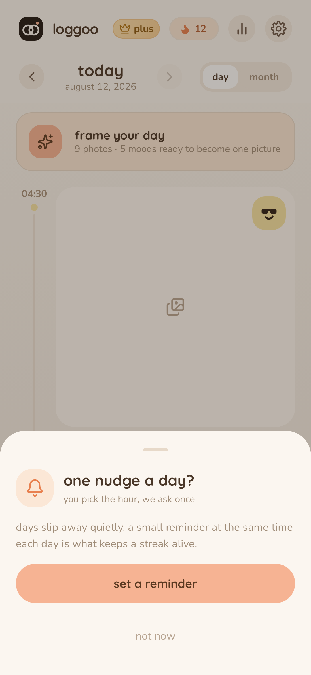Loggoo reminder prompt asking whether to set one daily nudge.